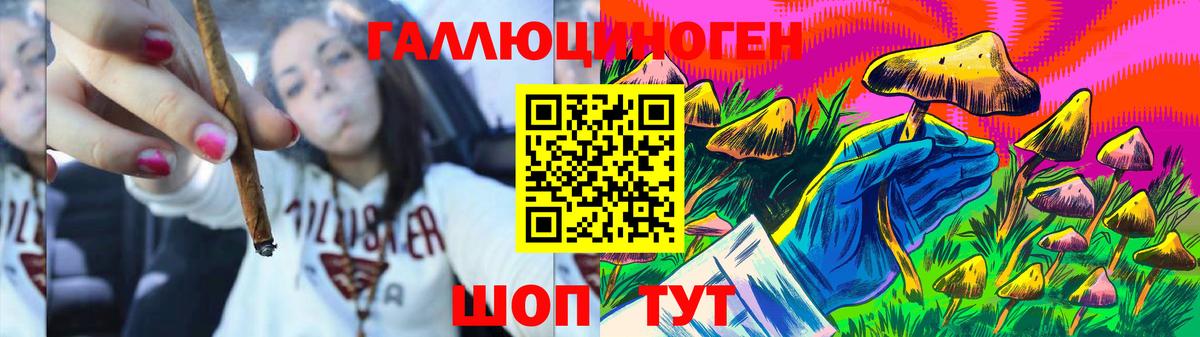 Галлюциногенные грибы MAGIC MUSHROOMS  Вход с VPN  Строитель 