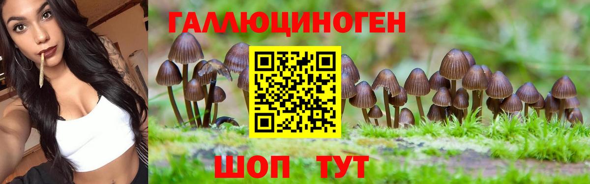 Псилоцибиновые грибы GOLDEN TEACHER Строитель